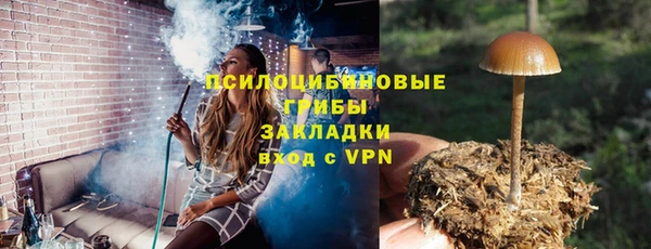 тгк Ростов