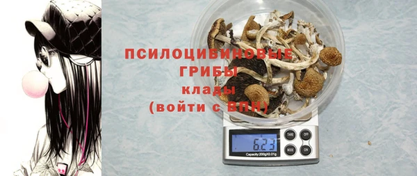 тгк Ростов