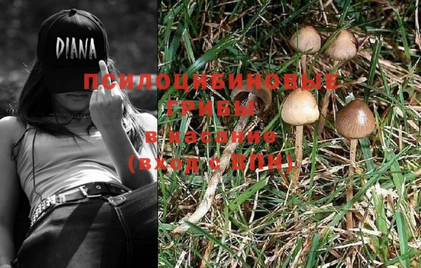 PSILOCYBIN Алзамай