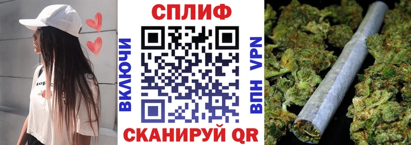 Бошки марихуана THC 21%  Аша 